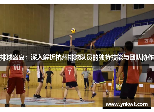 排球盛宴：深入解析杭州排球队员的独特技能与团队协作