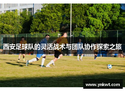 西安足球队的灵活战术与团队协作探索之旅